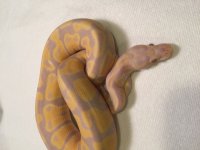 IMG_3724.jpg