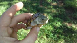 20170702_083206.jpg
