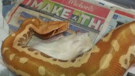 20170327_215133.jpg