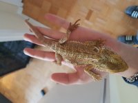 20170106_145017.jpg