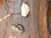 20170715_095946.jpg