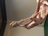 20170106_142025.jpg