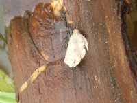 20170715_095929.jpg