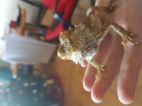 20170106_144853.jpg