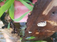 20170715_103128.jpg