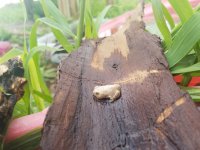 20170715_103136.jpg