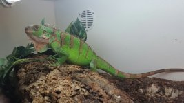 storageemulated0Androiddatacom.sec.imsservicefilesreceived_files20170116_120651_1484748120362_re.jpg