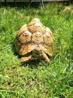 IMG_1389.jpg