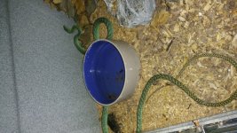 20170302_173828.jpg