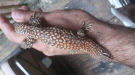 20170603_161601.jpg