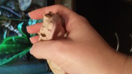 20170123_182035.jpg