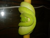 20170715_113409.jpg
