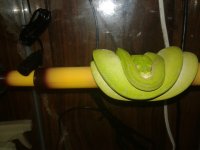 20170715_113359.jpg