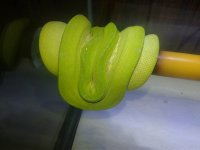 20170512_160026.jpg