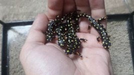 20160825_162913.jpg