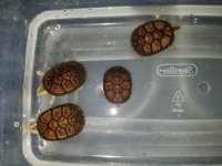 20170417_092001.jpg