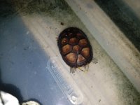 20170417_094657.jpg