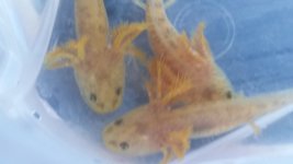 20170131_160454.jpg