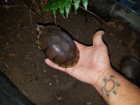 20170417_094716.jpg