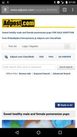 Screenshot_20170317-070514.jpg