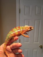 IMG_5519.jpg