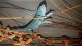 20170618_203553.jpg