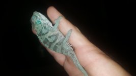 20170618_203905.jpg