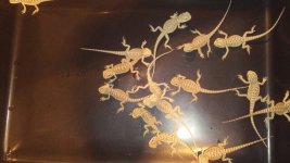 IMG_1478.JPG