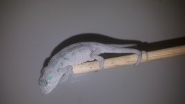 20170613_153642.jpg