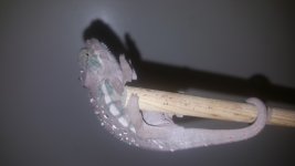 20170613_153548.jpg