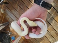 20170715_184022.jpg