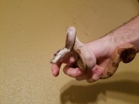 20170120_185126.jpg