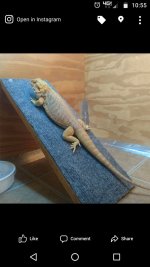 Screenshot_20170808-225516.jpg