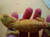 thumbnail_IMG_20170124_153413860.jpg