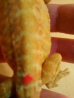 thumbnail_IMG_20170124_153433957.jpg