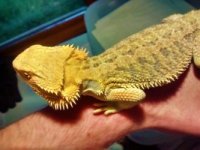 thumbnail_IMG_20170124_160245427_HDR.jpg