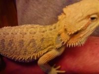 thumbnail_IMG_20170124_160201860.jpg