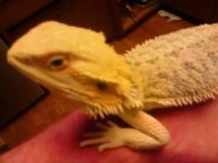 thumbnail_IMG_20170124_160208470.jpg