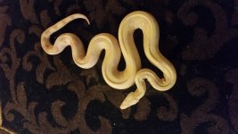 20161229_191717.jpg