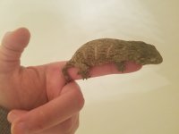 20170330_161829.jpg