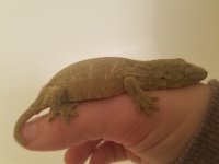 20170330_162116.jpg
