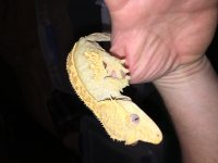 IMG_1902.jpg