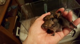 20160525_010609.jpg