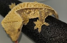 20170728_103323.jpg