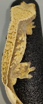 20170728_103247.jpg