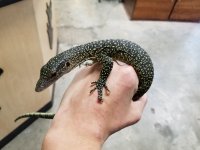 20170501_142938.jpg