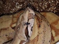 20170118_100548.jpg