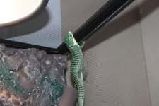 IMG_1246.jpg