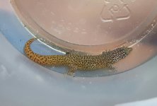 20170716_192441.jpg