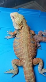 IMG_20170401_150332.jpg